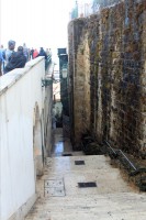 /album/galerie-photos/img-9717-jpg/