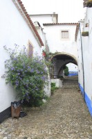 /album/obidos/img-9833-jpg/