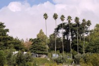 /album/porto-3/mg-0695-jpg/