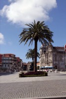 /album/porto-3/mg-0721-jpg/